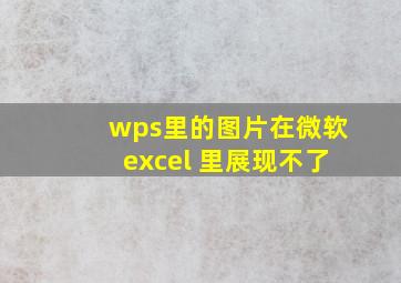 wps里的图片在微软excel 里展现不了